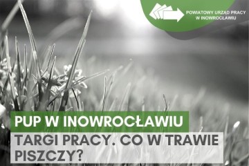 Zdjęcie artykułu Co w trawie piszczy? Poznaj aktualną listę najciekawszych targów pracy w regionie i kraju