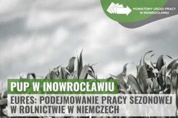Zdjęcie artykułu Podejmowanie pracy sezonowej w rolnictwie w Niemczech. Pakiet informacyjny